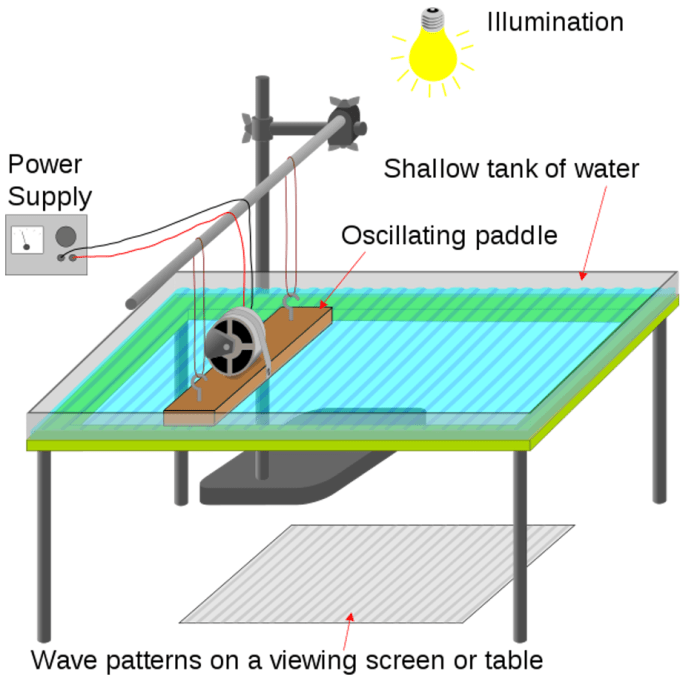 Gizmo ripple tank answer key