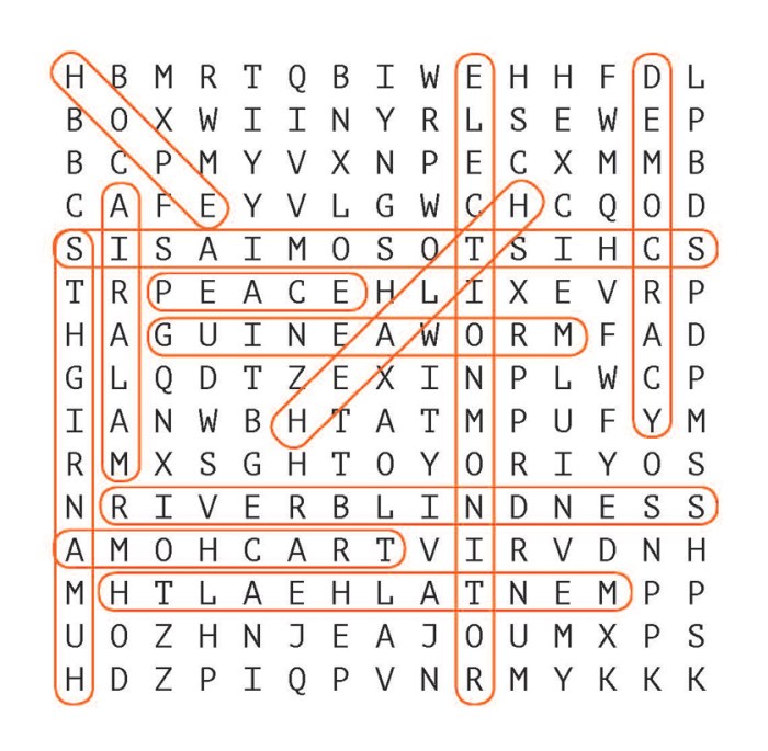 La casa word search answer key