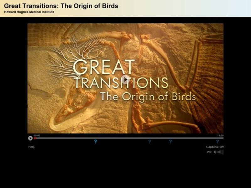 Great transitions the origin of birds answer key